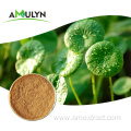 Asiaticosides Gotu Kola Extract Centella Asiatica Extract